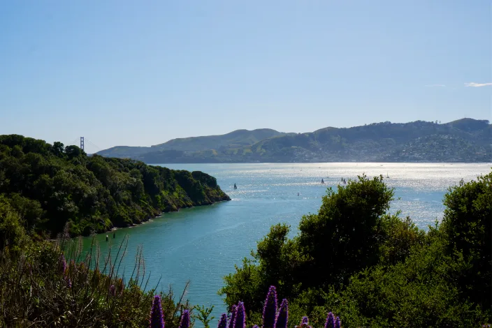 Sausalito, as seen from Angel Island