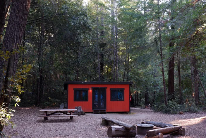 Cabin in the woods