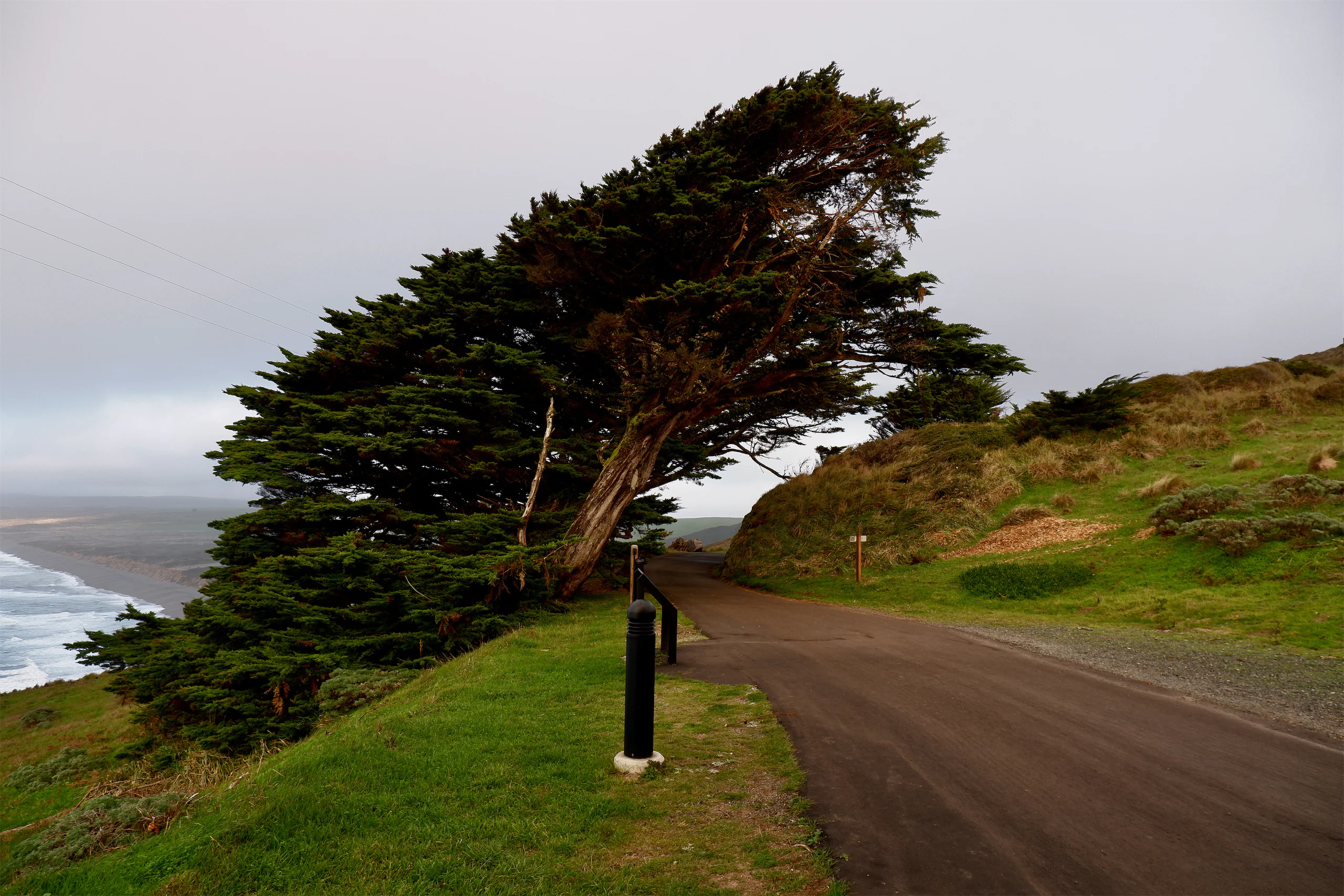 Entering Point Reyes Lighthouse
