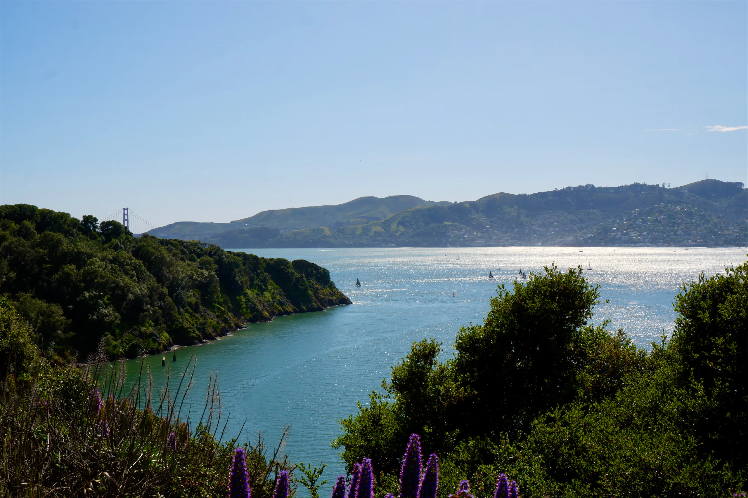 Sausalito, as seen from Angel Island