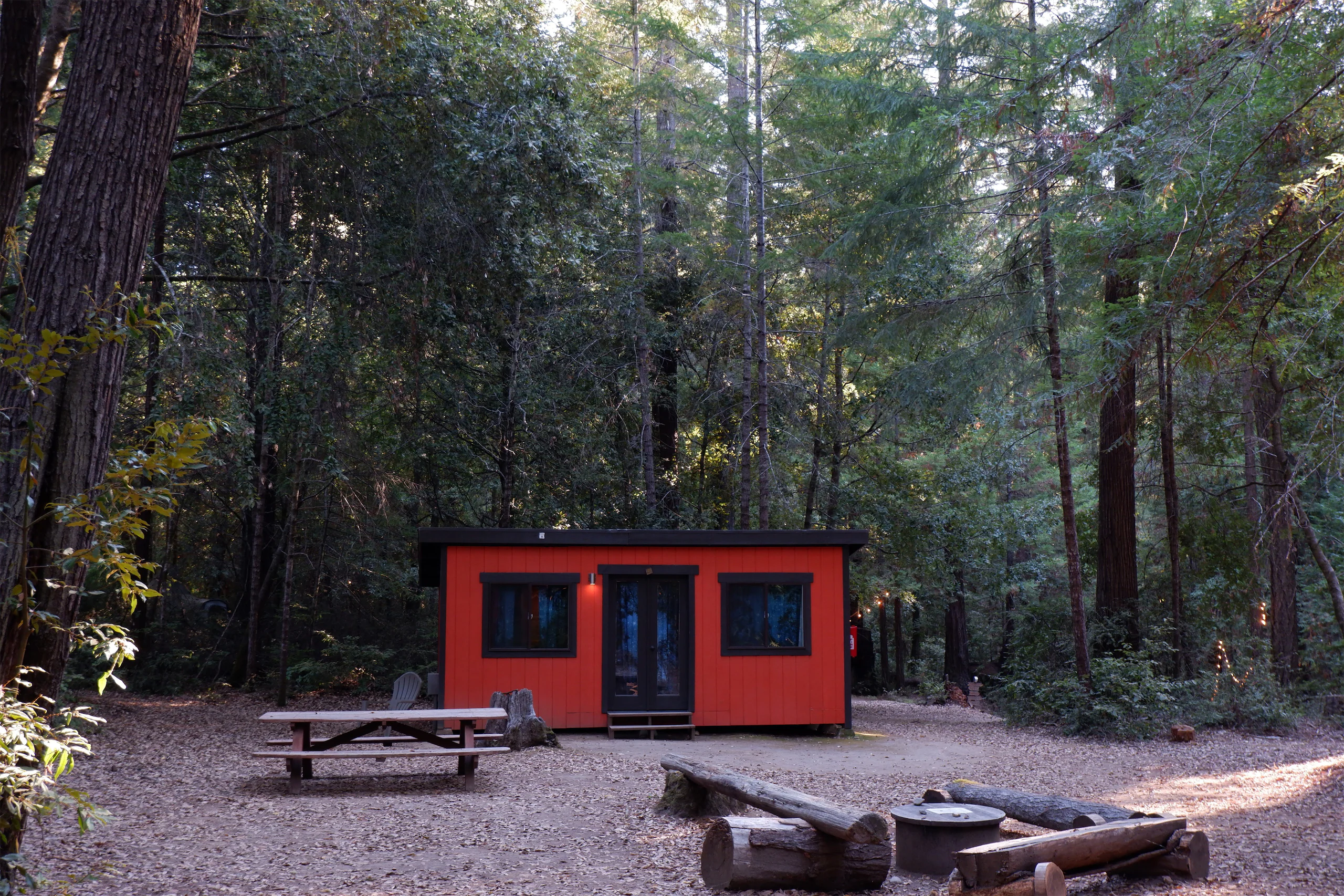 Cabin in the woods
